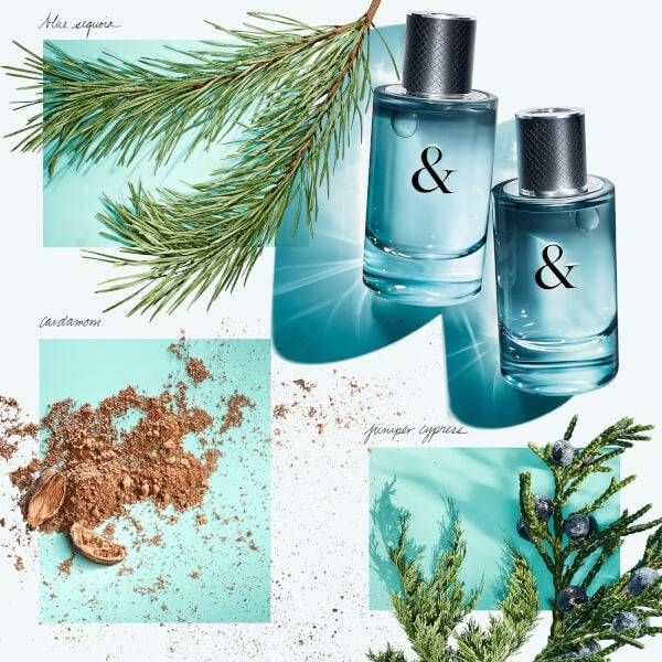 Tiffany & Co. & Love For Him Eau De Toilette 50ml