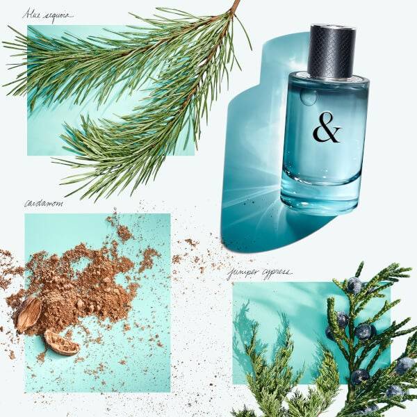 Tiffany & Co. & Love For Him Eau De Toilette 90ml