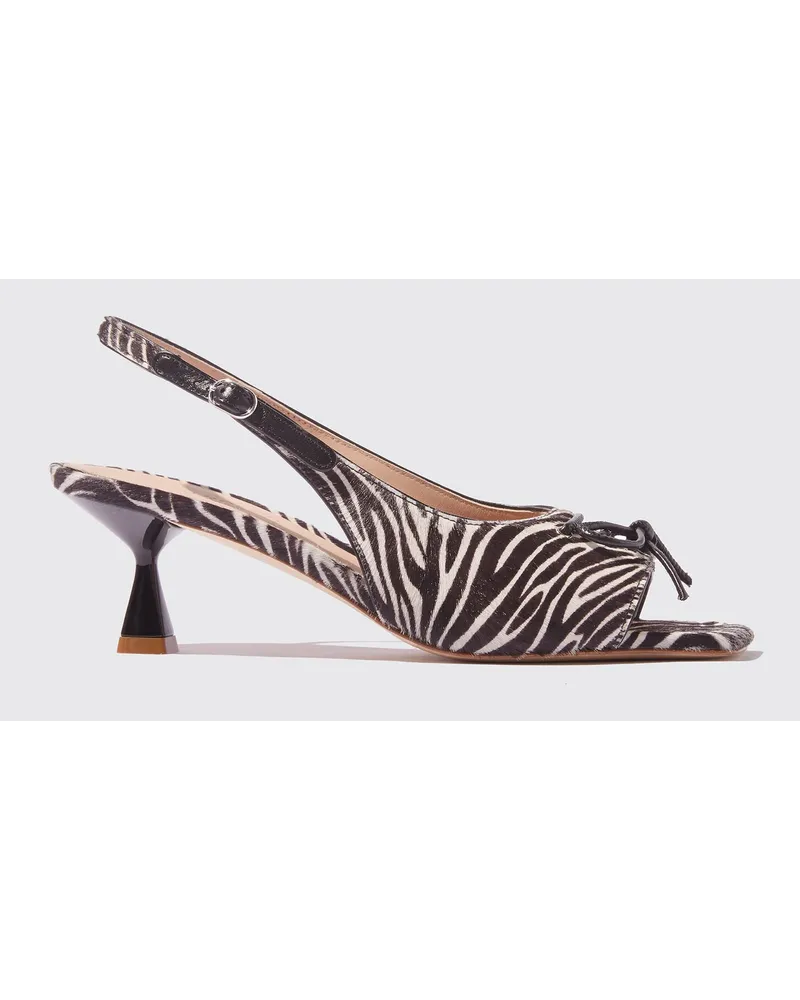 Scarosso Bella Zebra Pony