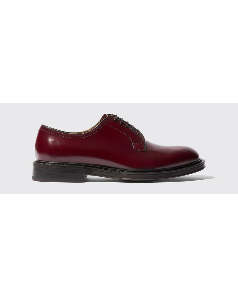 Scarosso Harry Bordeaux