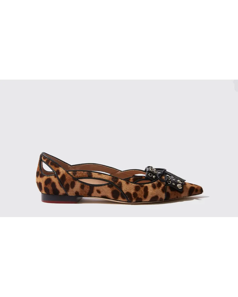 Scarosso Spicy Wild Leopard