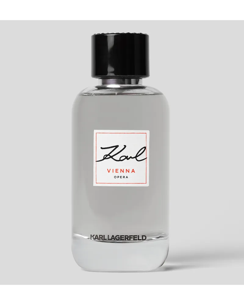 Karl Lagerfeld Vienna Places By Karl 100 Ml Mann Grau