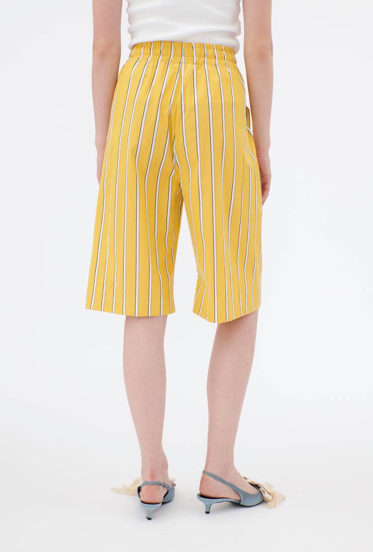 Odeeh Men's Stripe Hose, Dandelion