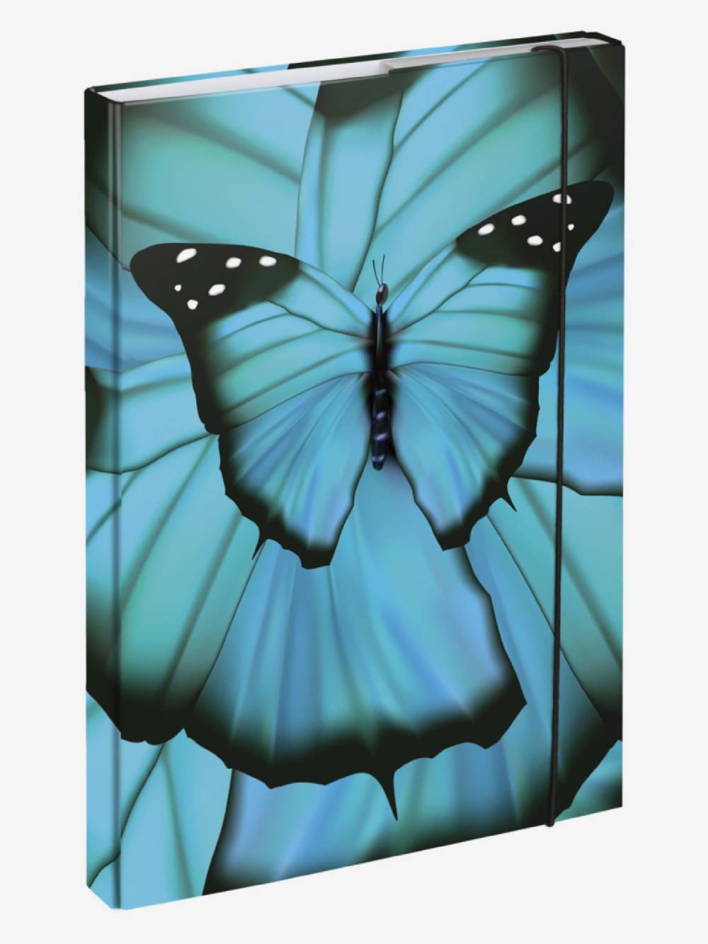BAAGL Ergo Butterfly II Schulset