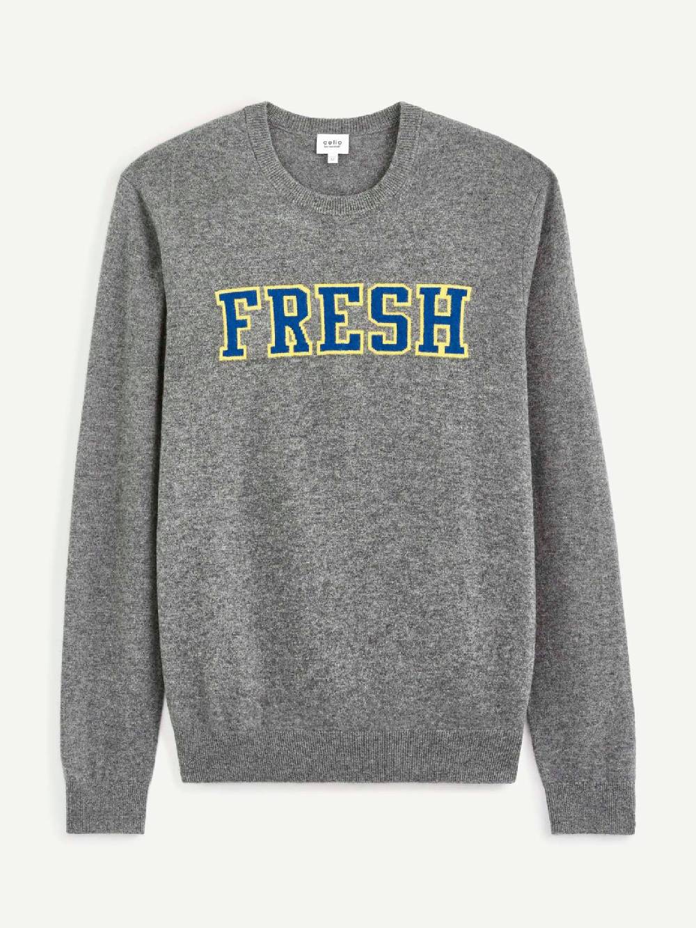 Celio Cenormal Pullover