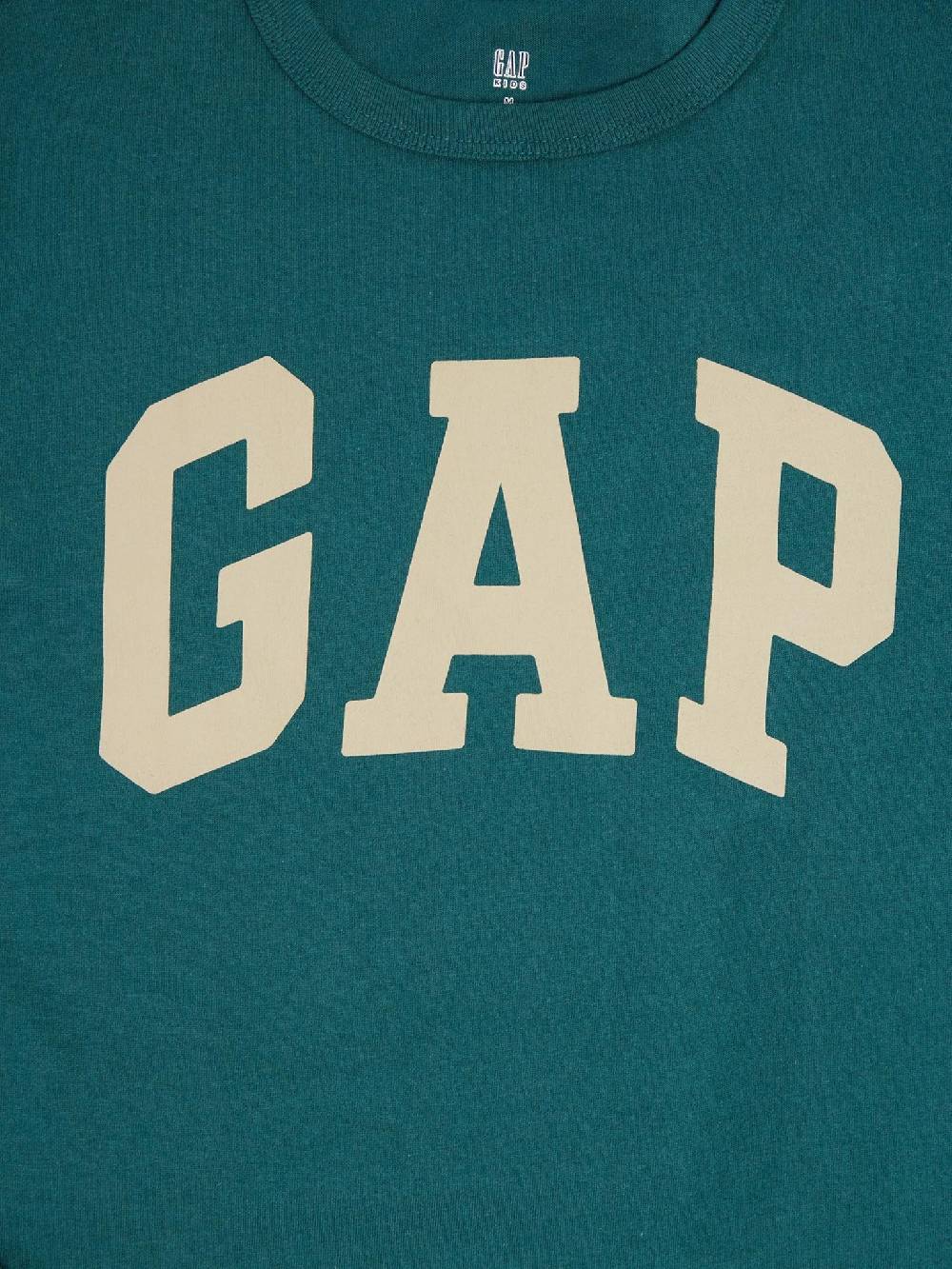 GAP Kids T-shirt 2 Pcs