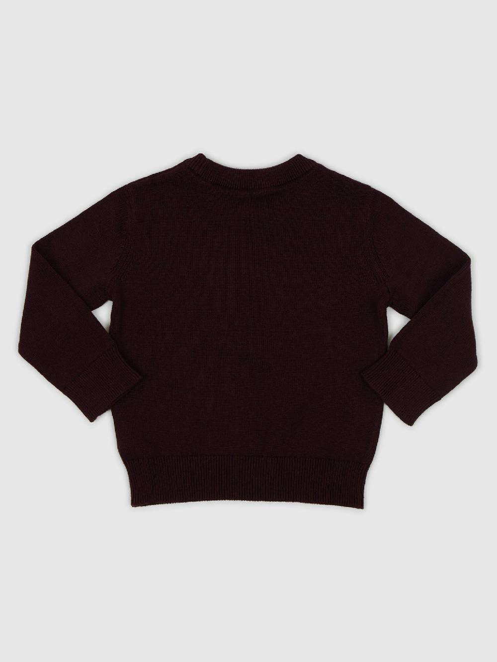 GAP Kinderpullover