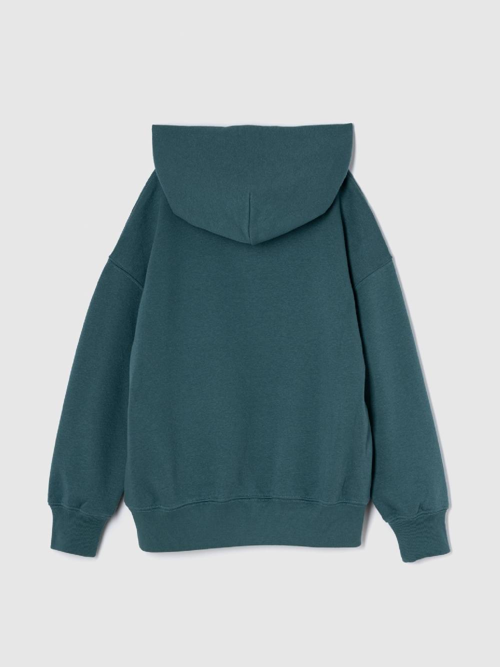 GAP Sweatshirt Kinder