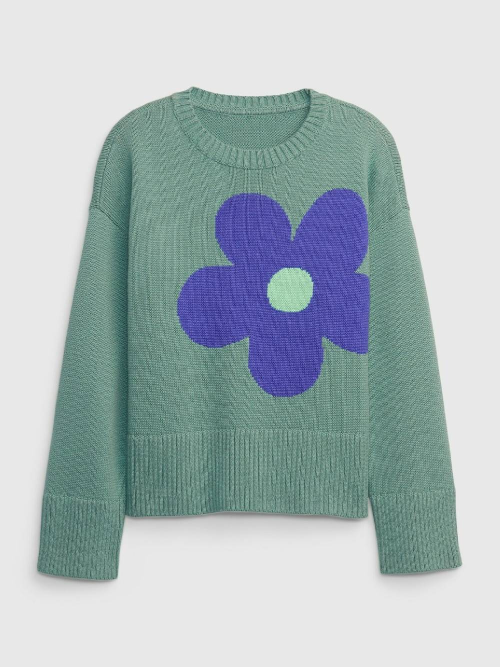 GAP Sweatshirt Kinder