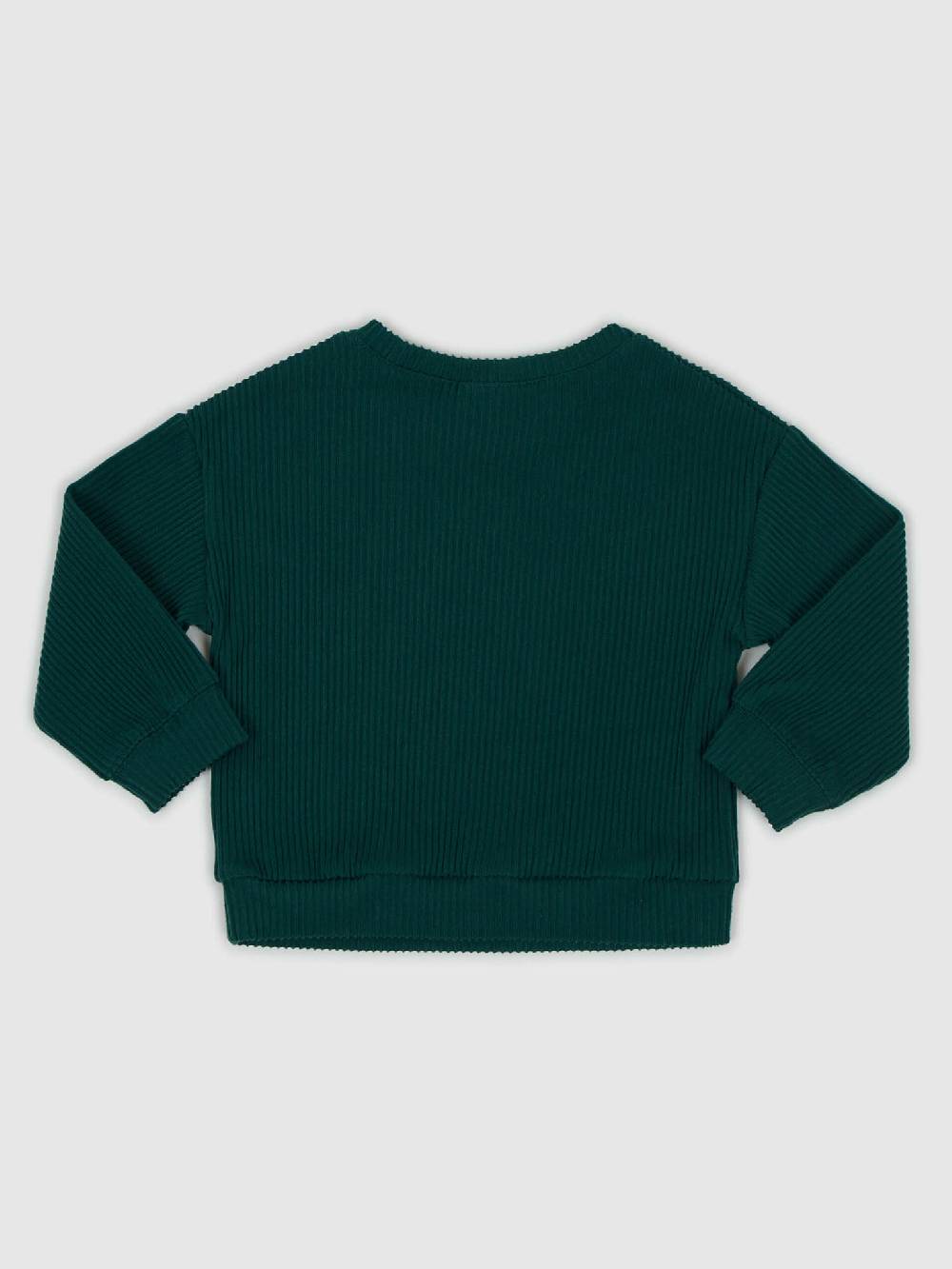 GAP Sweatshirt Kinder