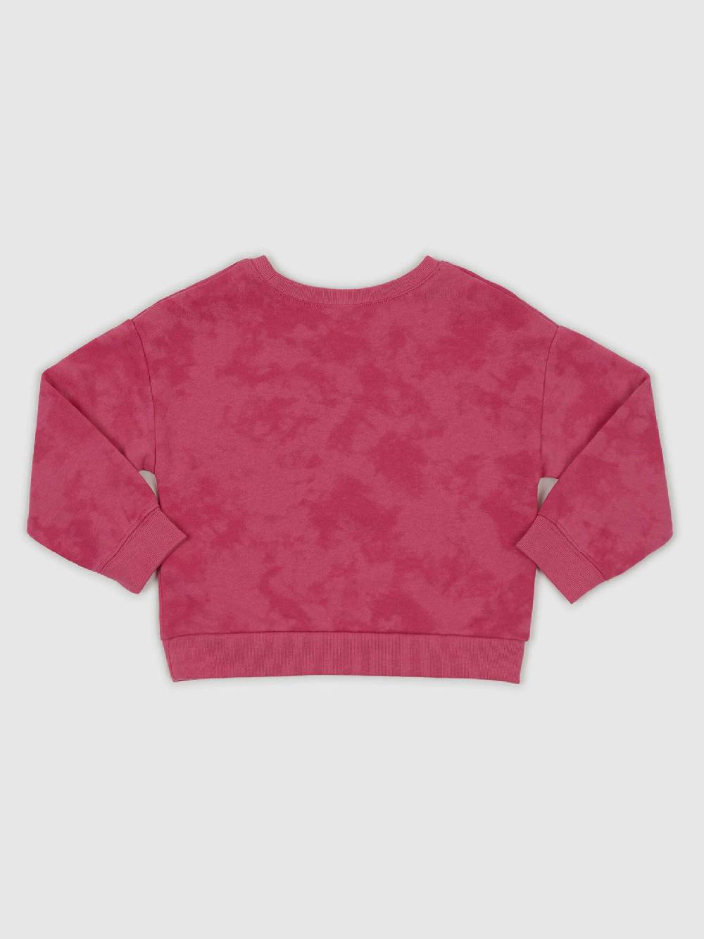 GAP Sweatshirt Kinder