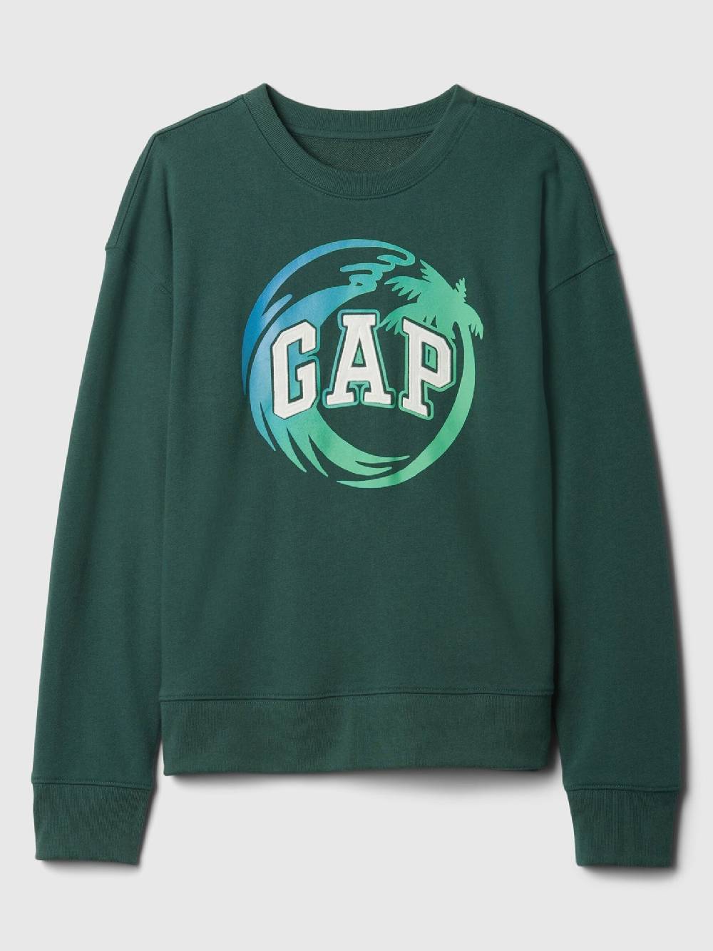 GAP Sweatshirt Kinder