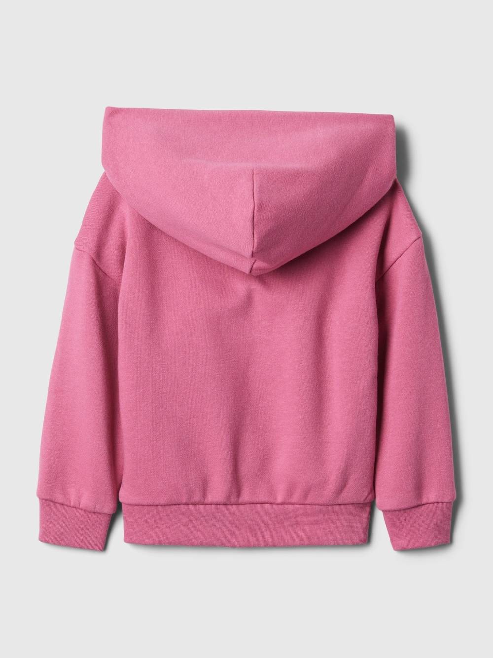 GAP Sweatshirt Kinder