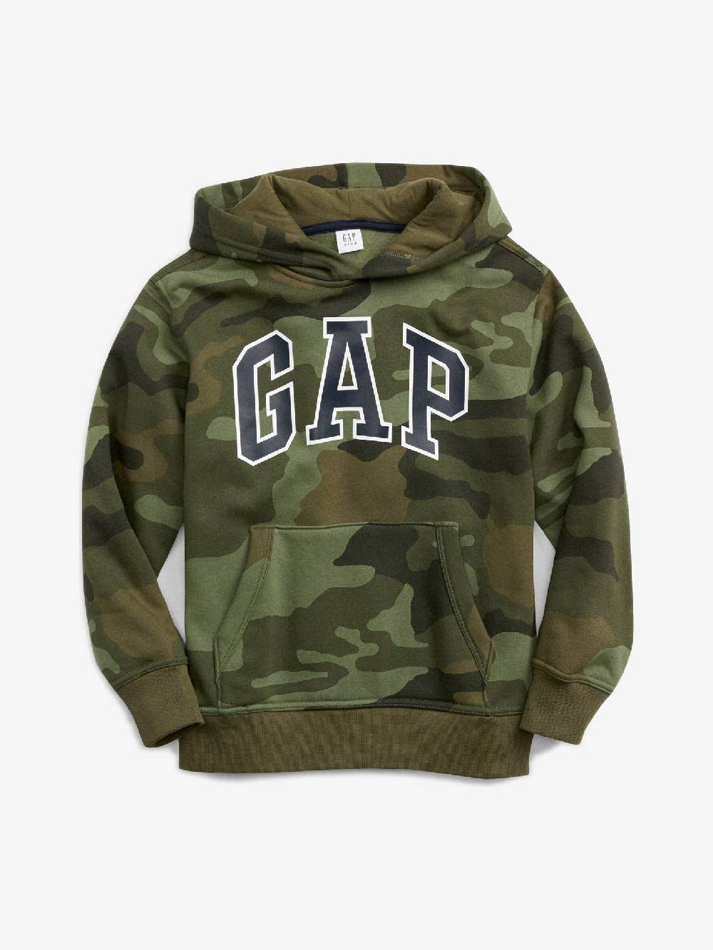 GAP Sweatshirt Kinder