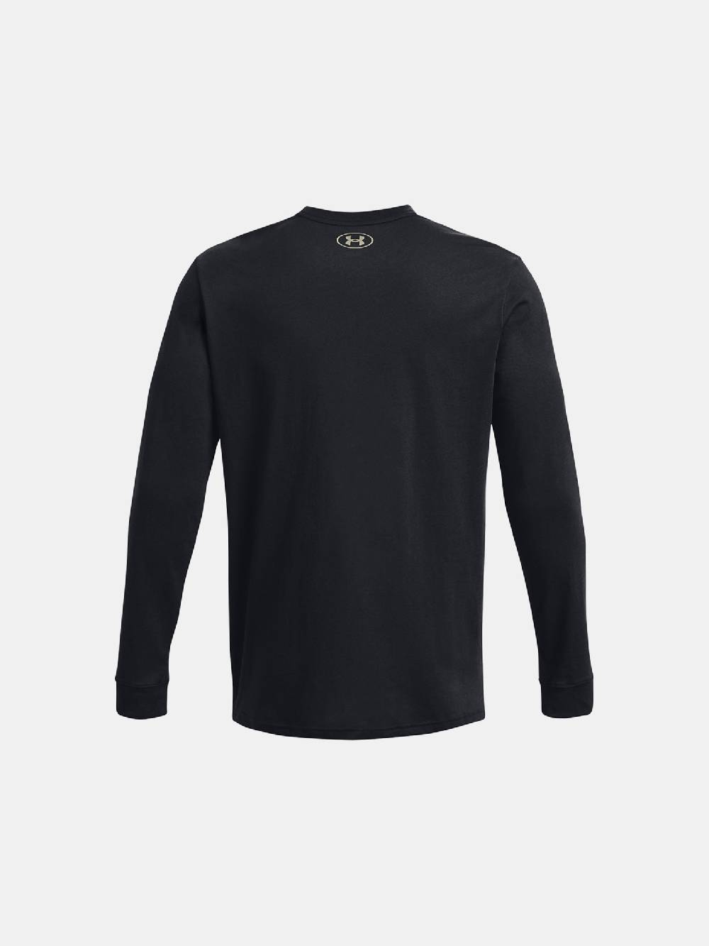 Under Armour Project Rock Brahma Bull LS T-Shirt