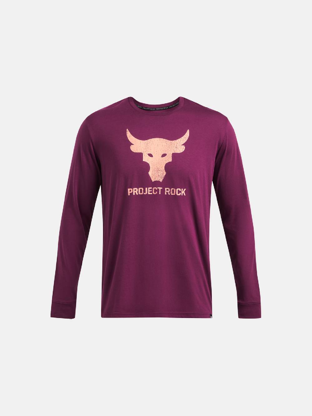 Under Armour UA Project Rock Brahma Bull T-Shirt