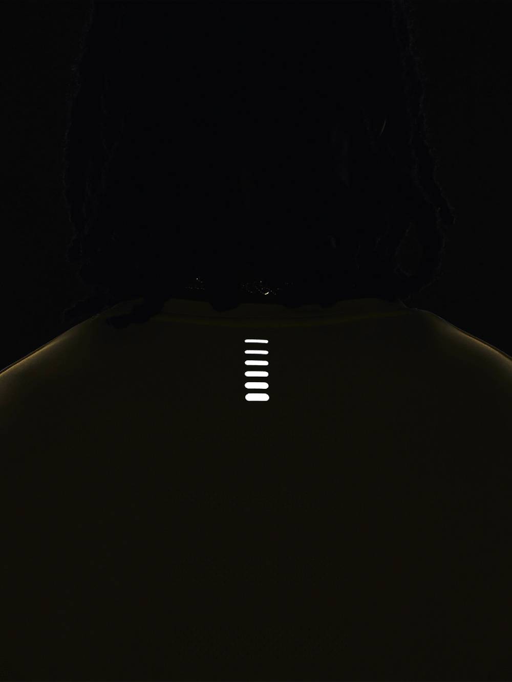 Under Armour UA Seamless Stride LS T-Shirt