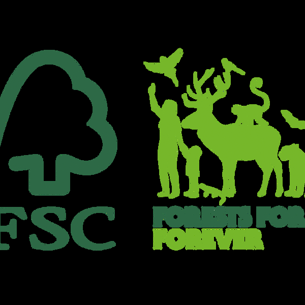 Parsa Beauty PARSA Beauty Bambus Pflegebürste Groß Oval Mit Mischborsten Aus FSC® -zertifiziertem Bambusholz