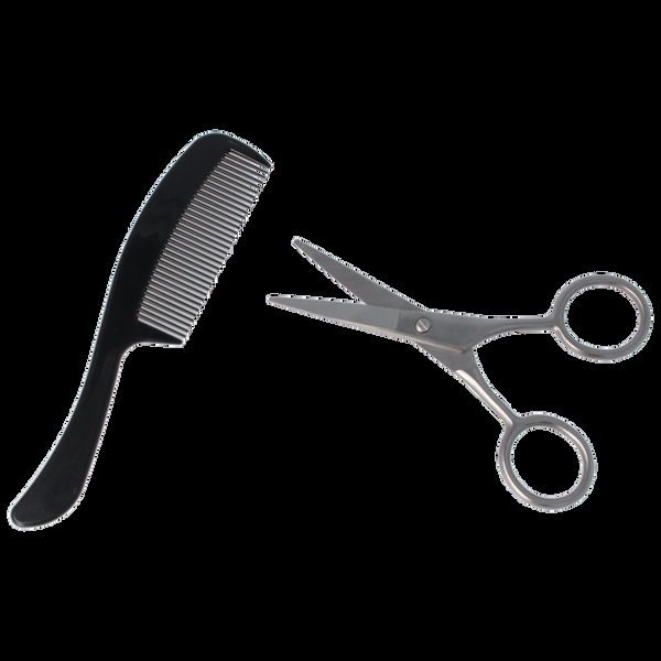 Parsa Beauty PARSA Beauty Black Edition Bart-Set - Schere Und Kamm