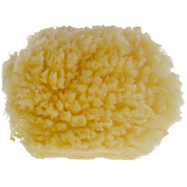 Parsa Beauty PARSA Baby Naturmeeresschwamm Mini