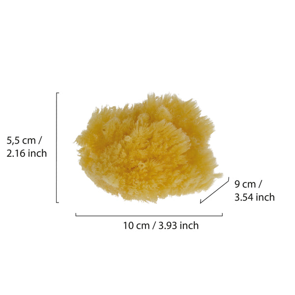 Parsa Beauty PARSA Baby Naturmeeresschwamm Mini