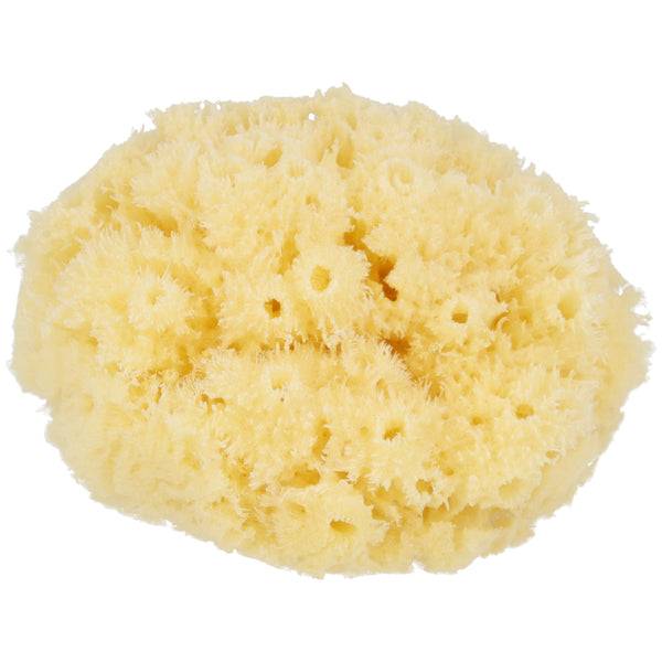 Parsa Beauty PARSA Baby Naturmeeresschwamm Mini