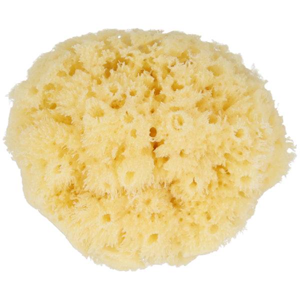 Parsa Beauty PARSA Baby Naturmeeresschwamm Mini