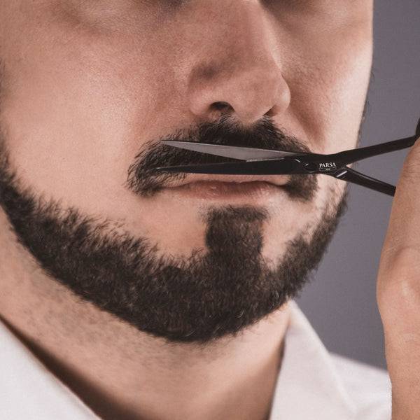 Parsa Beauty PARSA Men Bartpflege-Set 4-teilig