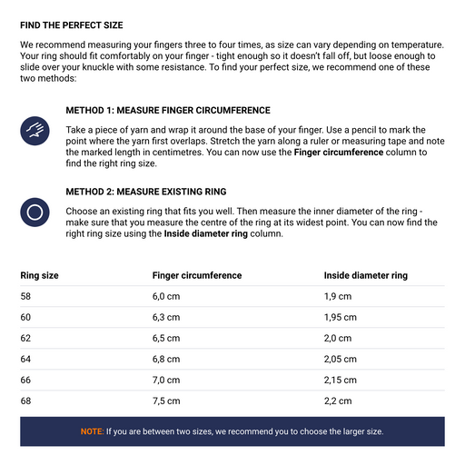 Paul Hewitt Men's Signet Ring Windrose Silber