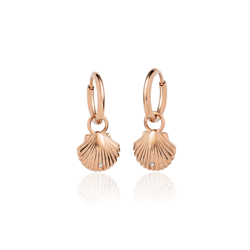 Paul Hewitt Scallop Ohrring Roségold