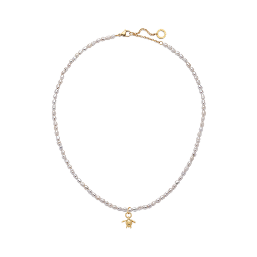 Paul Hewitt Set Turtle Charm Und Halskette Gold