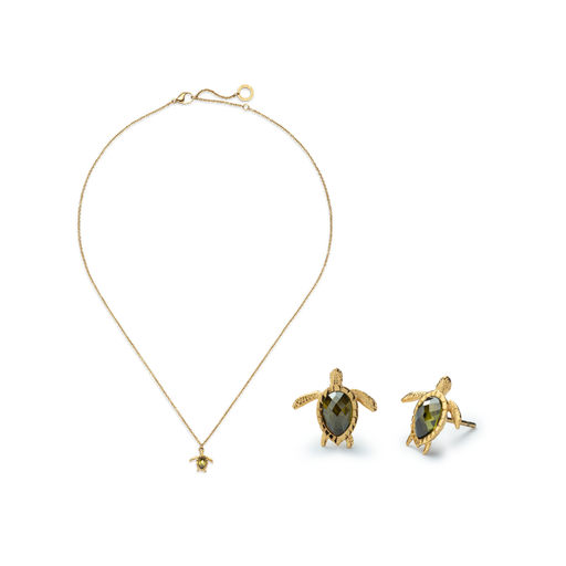 Paul Hewitt Set Turtle III Gold