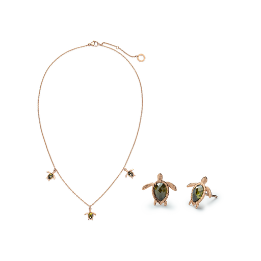 Paul Hewitt Set Turtle Roségold