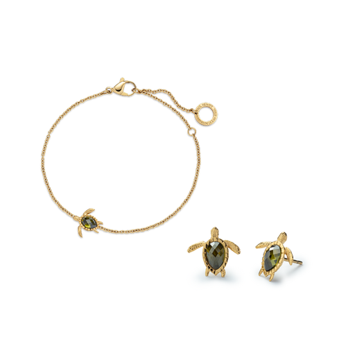 Paul Hewitt Set Turtle V Gold