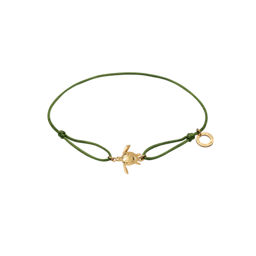 Paul Hewitt Turtle Band Grün