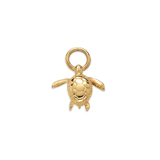 Paul Hewitt Turtle Charm Gold