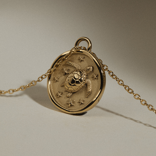 Paul Hewitt Turtle Coin Halskette Gold