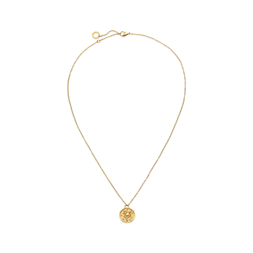 Paul Hewitt Turtle Coin Halskette Gold