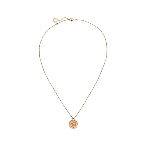 Paul Hewitt Turtle Coin Halskette Roségold