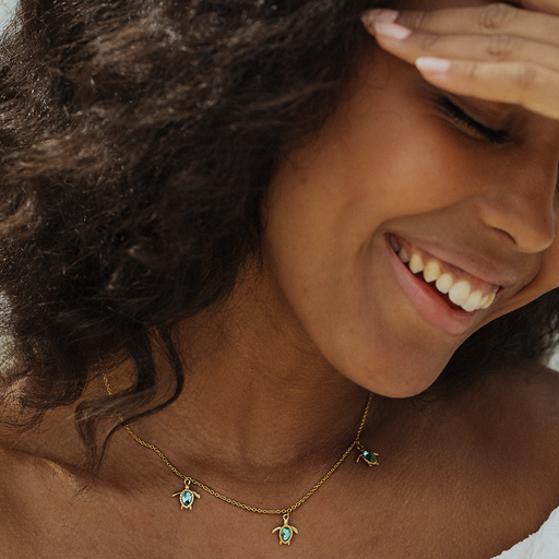 Paul Hewitt Turtle Cyan Set II