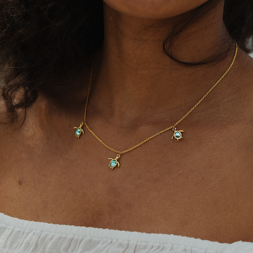 Paul Hewitt Turtle Cyan Set II