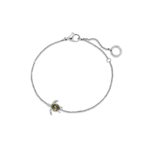 Paul Hewitt Turtle Mono Armkette Silber