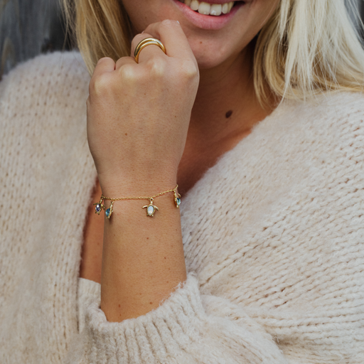 Paul Hewitt Turtle Rainbow Armkette