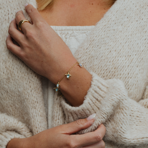 Paul Hewitt Turtle Rainbow Armkette