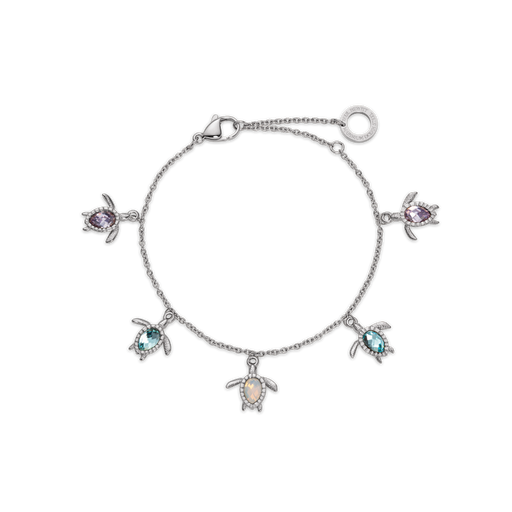 Paul Hewitt Turtle Rainbow Armkette Silber