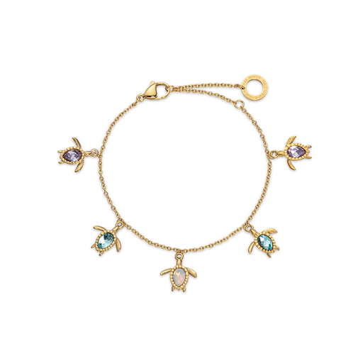 Paul Hewitt Turtle Rainbow Armkette