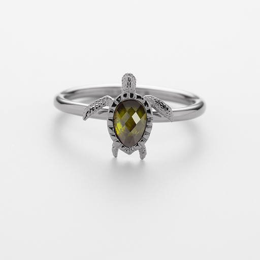 Paul Hewitt Turtle Ring Silber