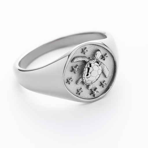 Paul Hewitt Turtle Signet Ring Silber