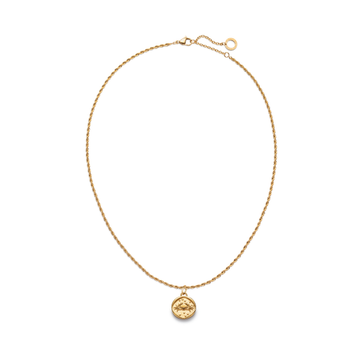 Paul Hewitt Rope Chain Halskette Und Zodiac Charms Gold