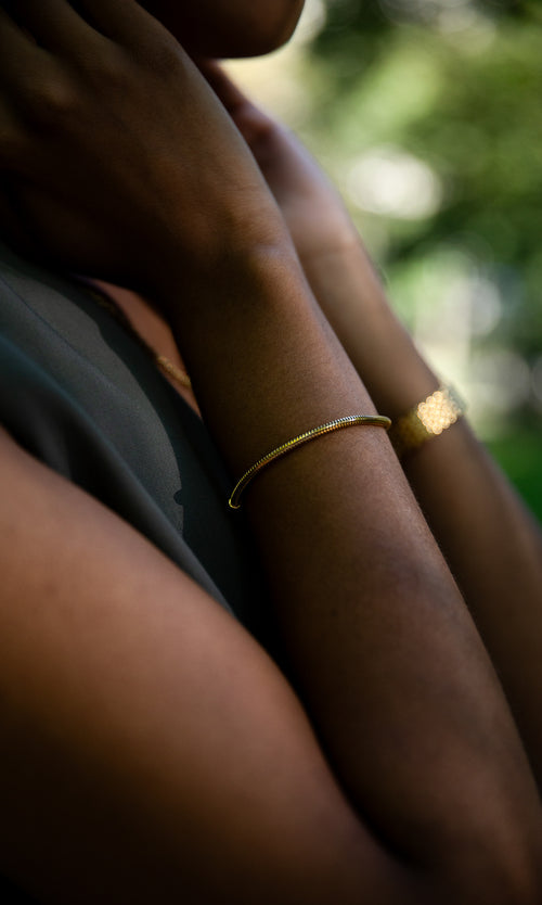 Paul Valentine Avenue Snake Bracelet